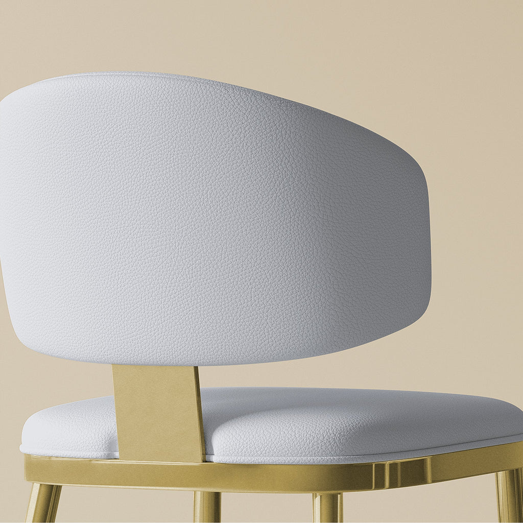 Dining Chairs Set of 2 in Modern Design