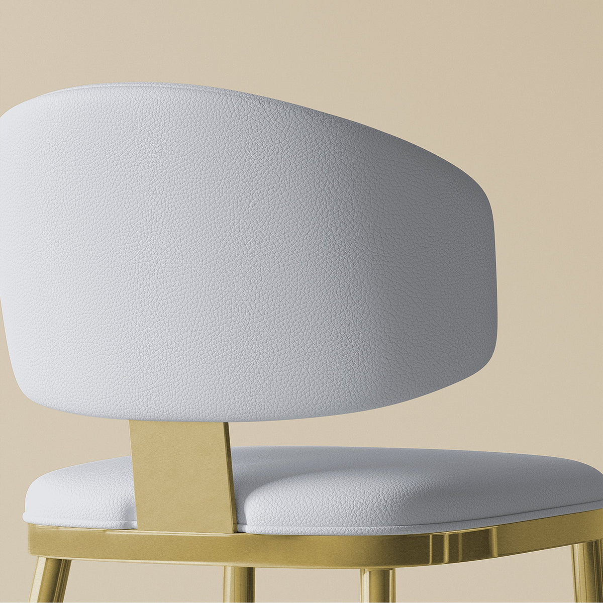 Dining Chairs Set of 2 in Modern Design