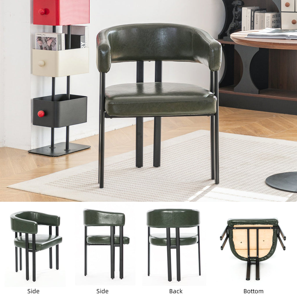 Modern Dining Chairs Set of 2
