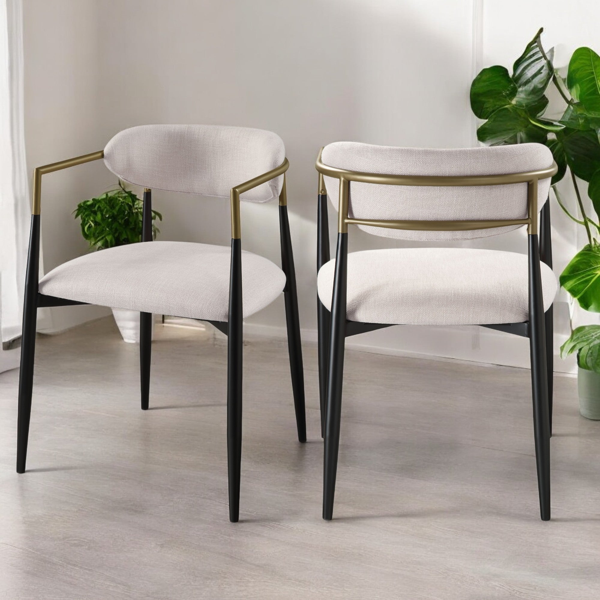 Jaramillo Dining Chair