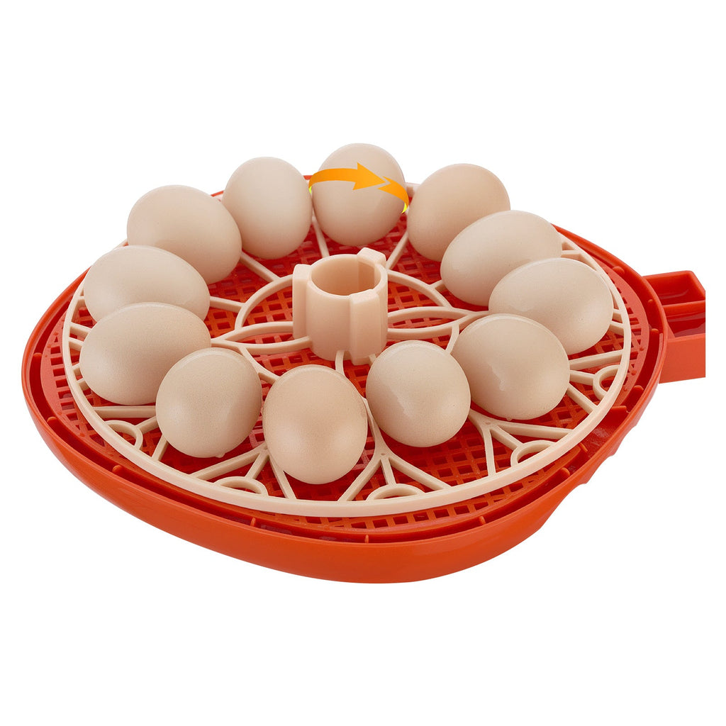 12 Egg Incubator with Automatic Egg Turner
