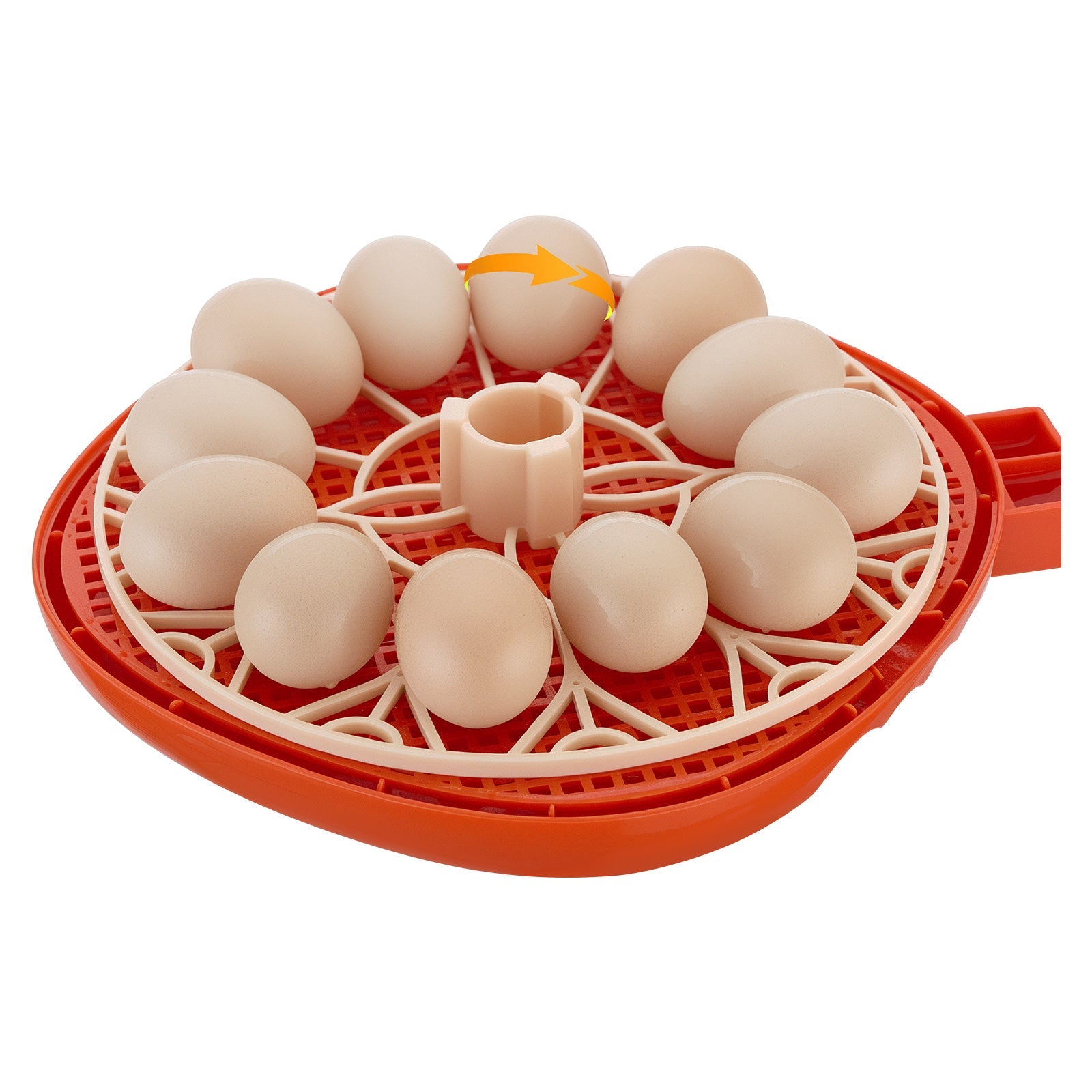 12 Egg Incubator with Automatic Egg Turner
