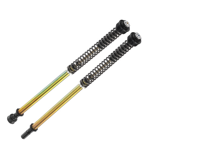 Bitubo Suspension Bitubo JBHV1 Pressurized Cartridge Adj.: Spring Preload, Rebound, Comp., w/o Oil, Red Ring IN002JBH01V1WO