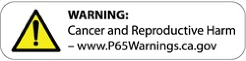 Corsa Performance 11-13 Dodge Charger R/T 5.7L V8 Polished Sport Cat-Back Exhaust