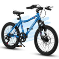 Ecarpat 20 Inch Kids' Mountain Bike, Ages 6-12