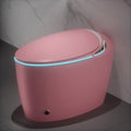 Unique Smart Toilet with Bidet Built In