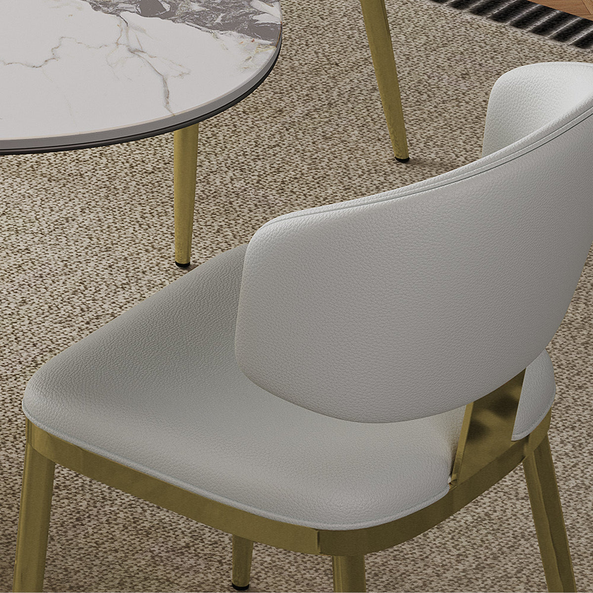 Dining Chairs Set of 2 in Modern Design