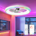 23.6" Modern RGB Ceiling Fan with Lights