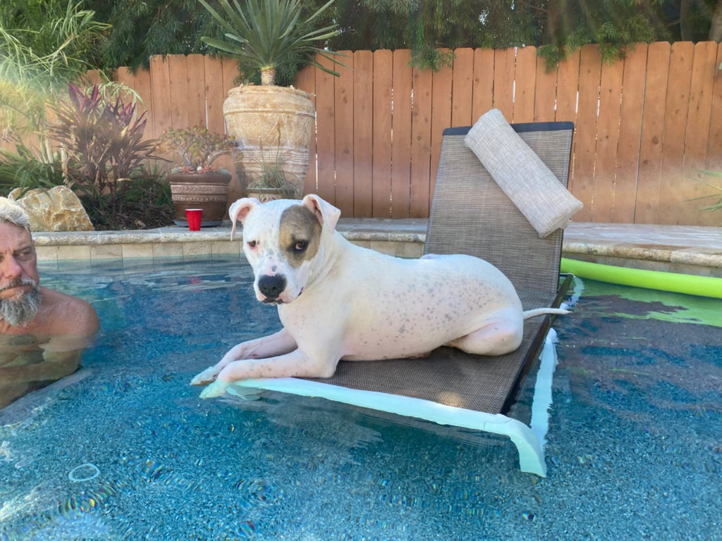 Adjustable Chaise Lounge Aluminum Outdoor Patio Lounge Chair