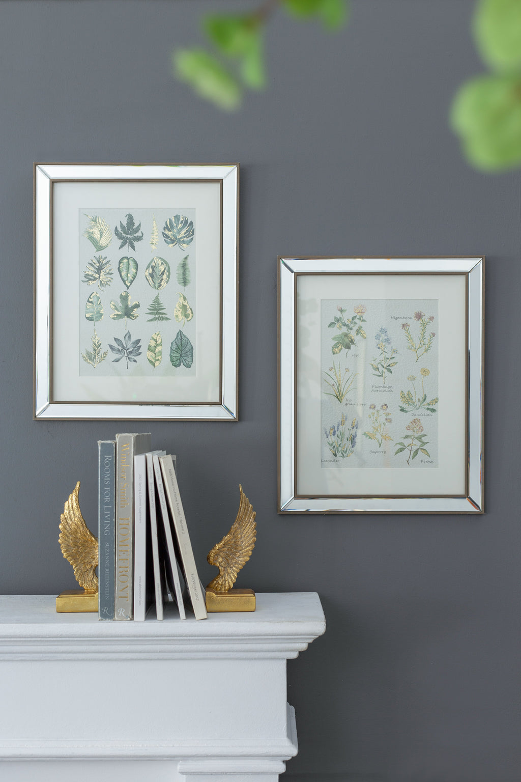 S/2 Liana Mirror Framed Wall Art