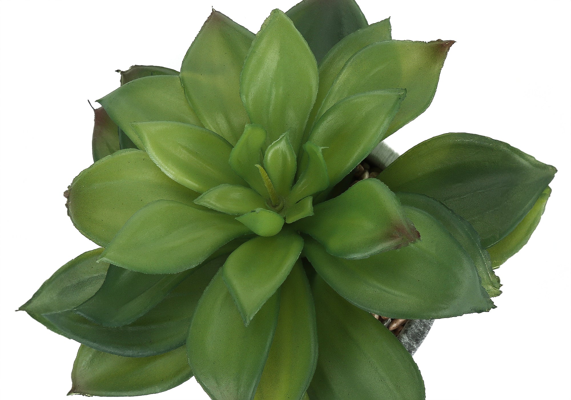Artificial Plant Set of 2 - Indoor Succulent