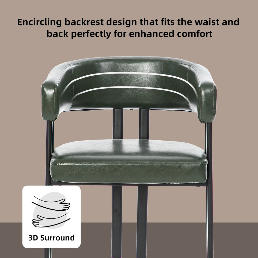 Modern Dining Chairs Set of 2