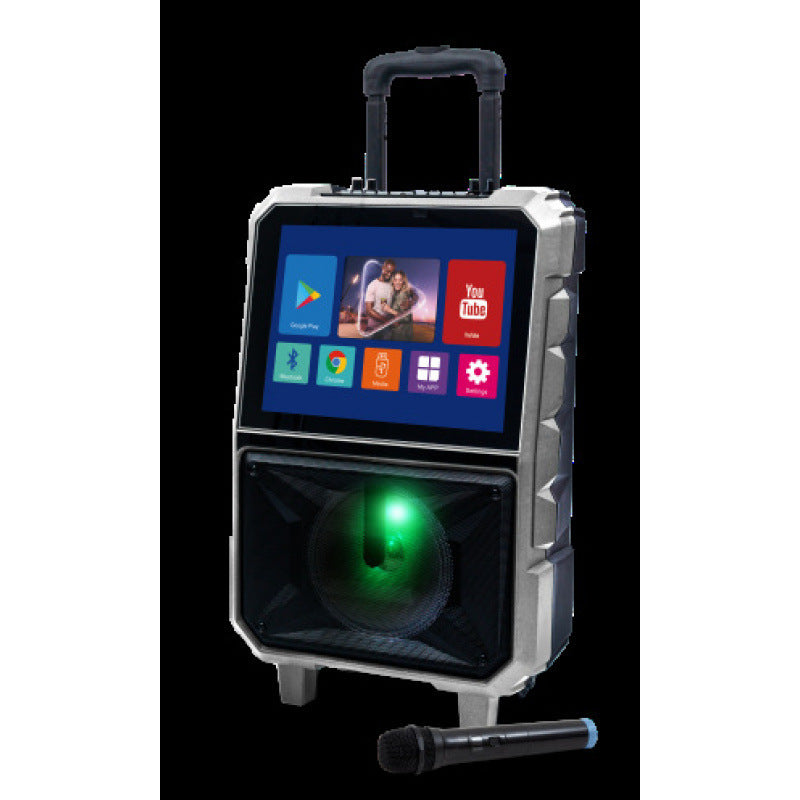 Karaoke Machine Home KTV All-in-one With Screen And Dual Microphones
