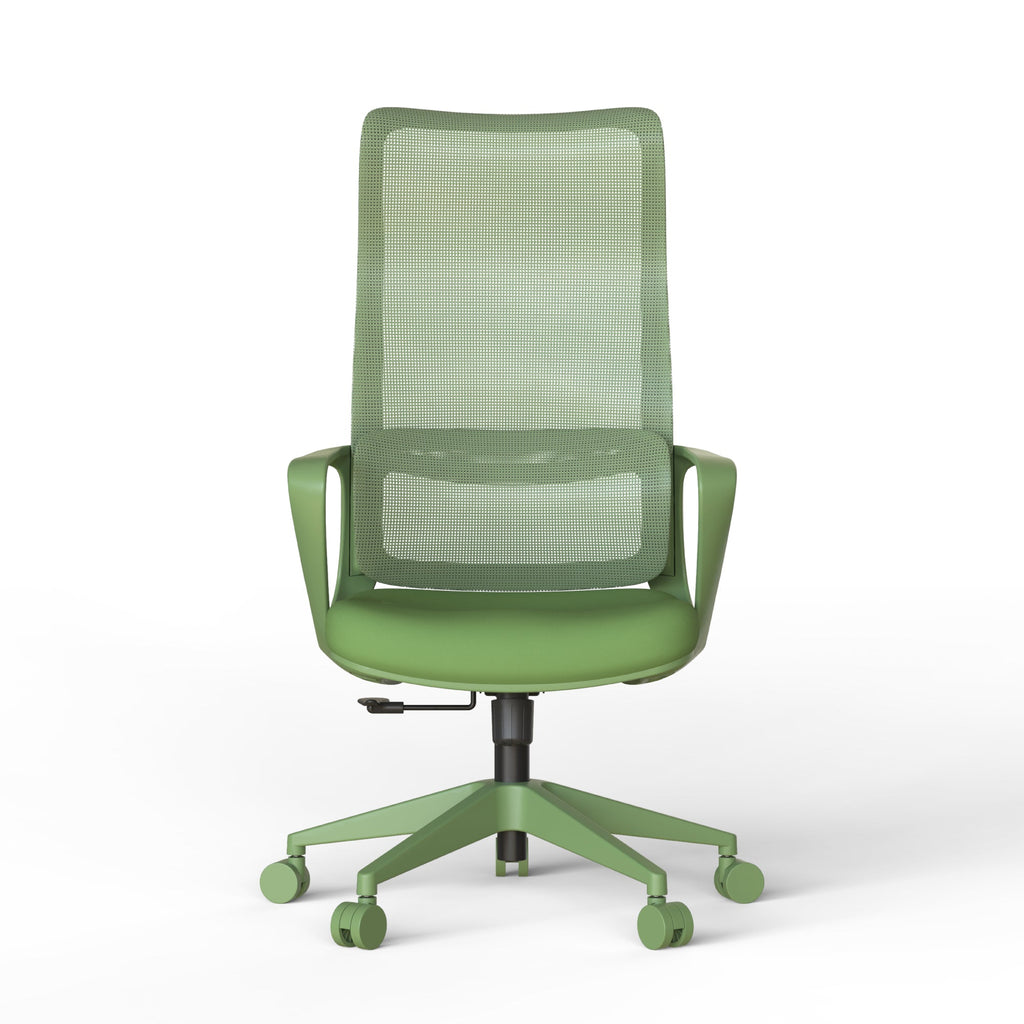 Ergonomic Colorful Office Chair