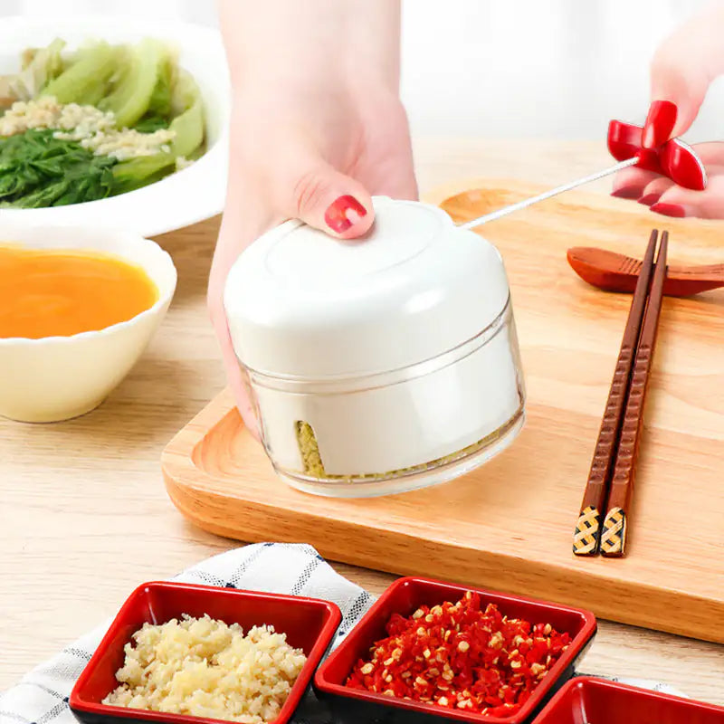 Manual Food Chopper – Vegetable & Garlic Cutter with Magnetic Blade