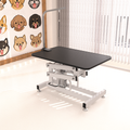Hydraulic Dog Pet Grooming Table