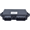 Arrowhead Yamaha CDI Module 160-02089