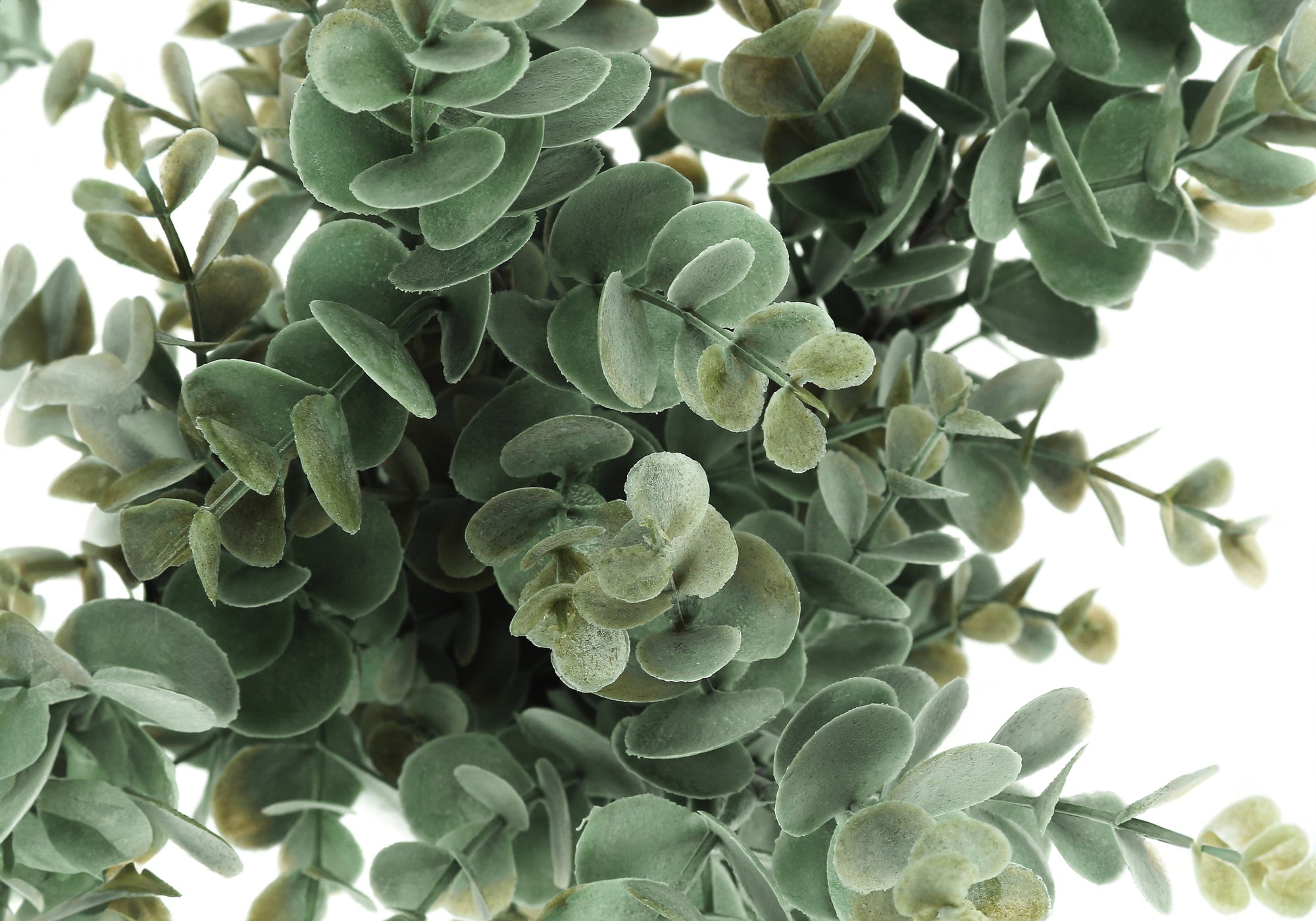 Artificial Eucalyptus Grass Plants – Set of 2