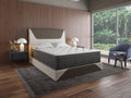 DreamFlex CoolTouch Cover Two Sided Full Plush Mattress