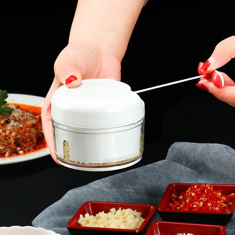 Manual Food Chopper – Vegetable & Garlic Cutter with Magnetic Blade
