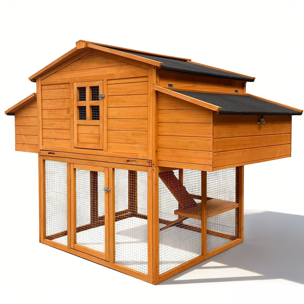 Chicken House for Outdoor with Two Nesting Box