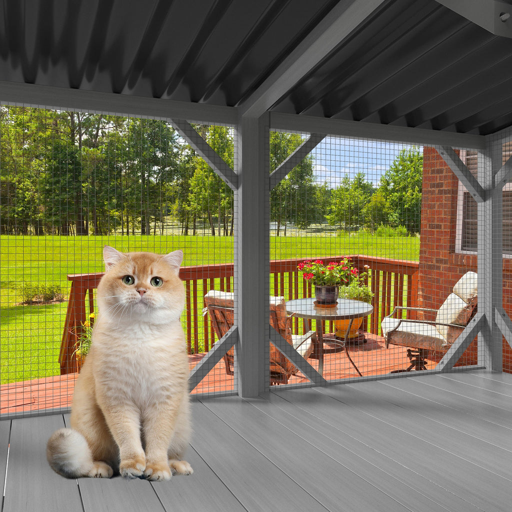 Cat Catio Window Perch for Large Indoor Cats