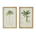 Set of 2 Tree Framed Prints