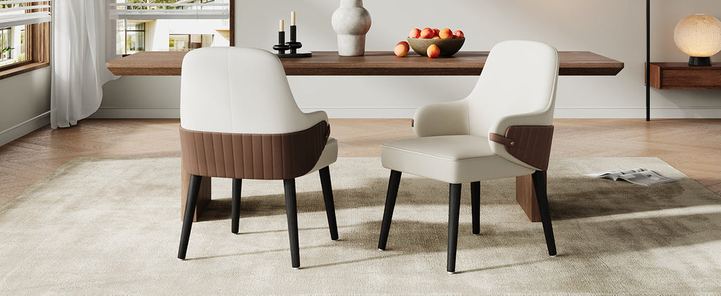 Indoor Dining Chair Set of 2
