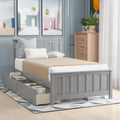 Twin Size Platform Bed with Two Drawers