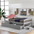 Twin Size Platform Bed With Two Drawers