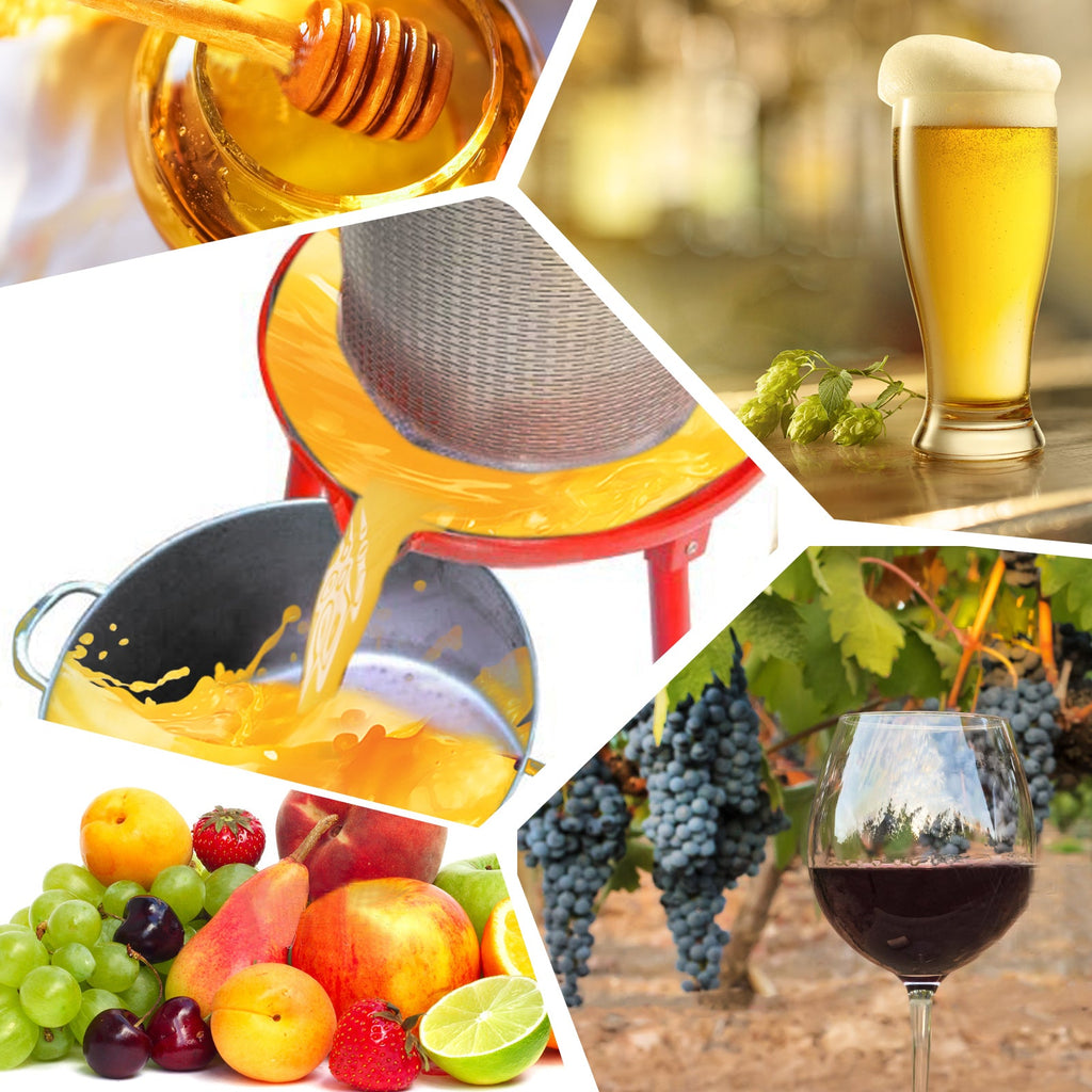 Hydraulic Fruit Wine Apple Press 5.3 Gallon