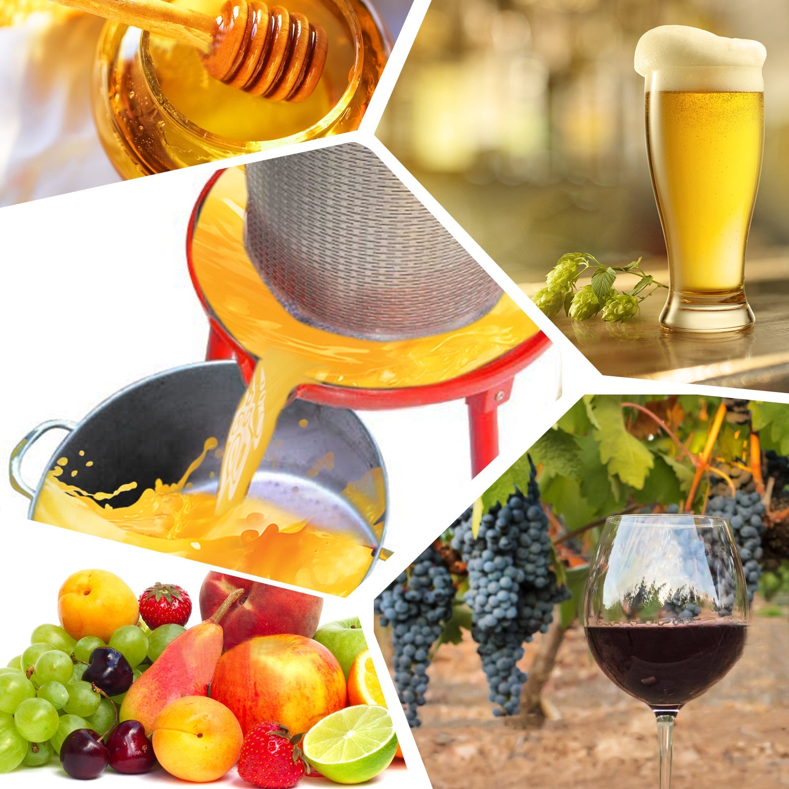 Hydraulic Fruit Wine Apple Press 5.3 Gallon