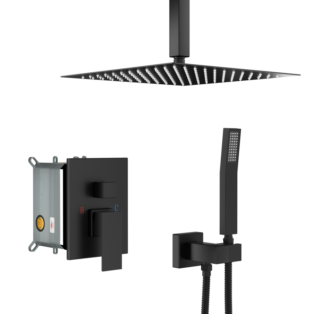 Dual Shower Head - 10 Inch Ceiling Mount Square Shower System