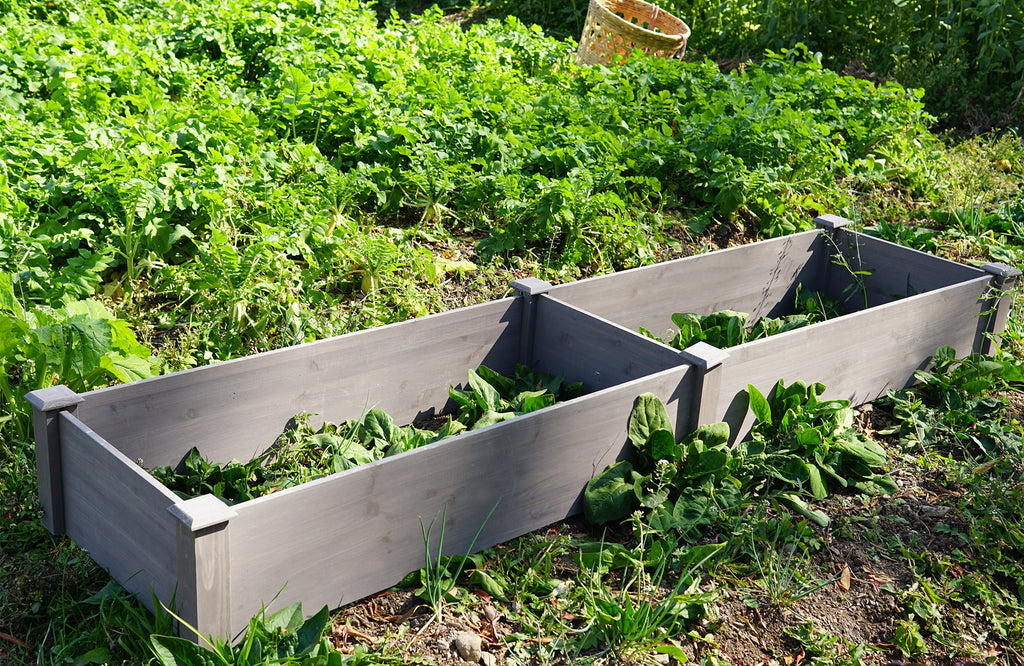 Over Ground Raised Garden Bed 96x28x10''