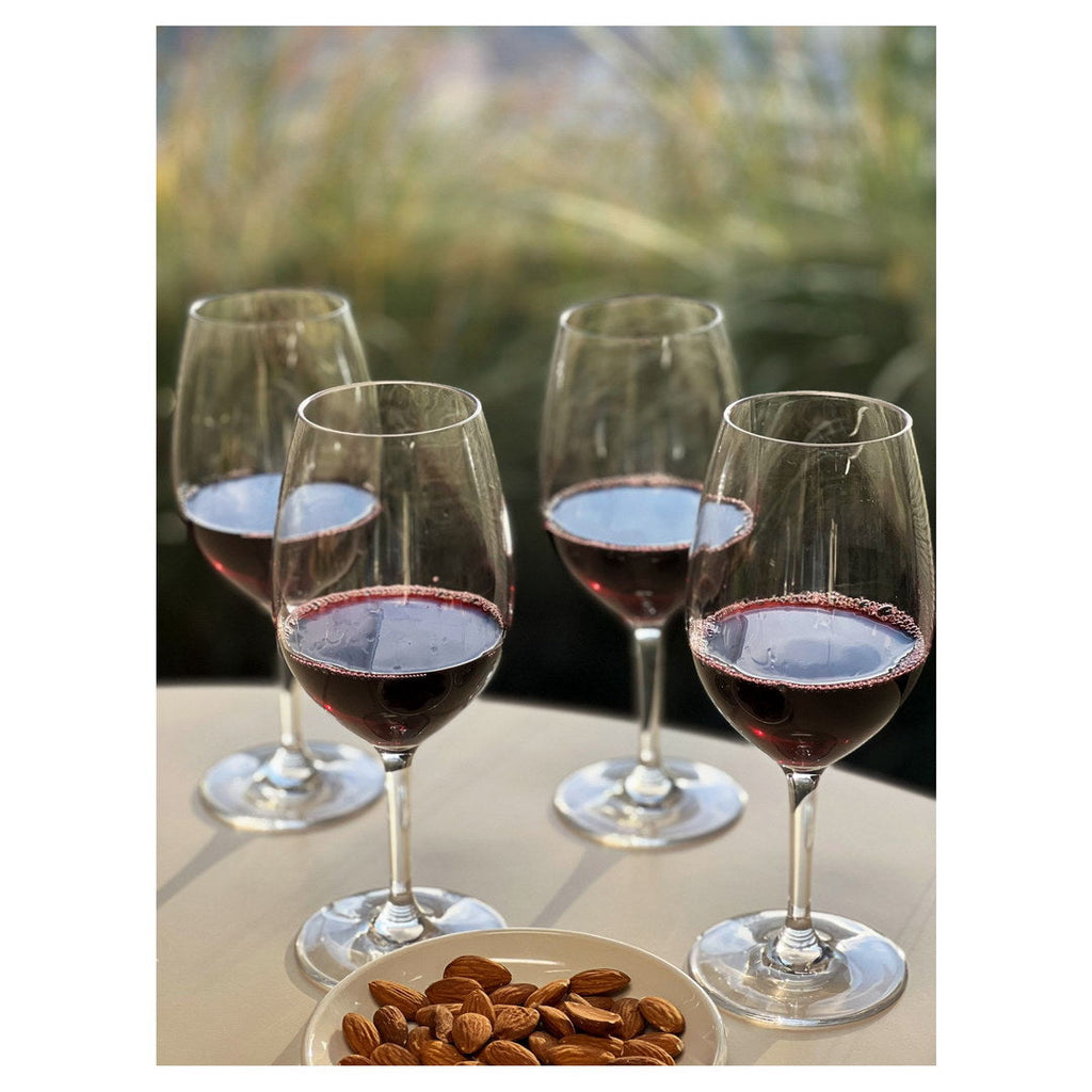 Plastic Wine Glasses Set of 4 (20oz) - Unbreakable Tritan