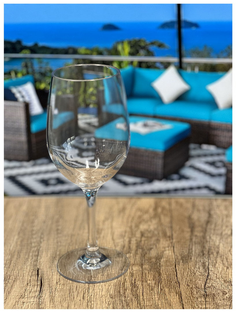 Plastic Wine Glasses Set of 4 (12oz) - BPA Free Tritan