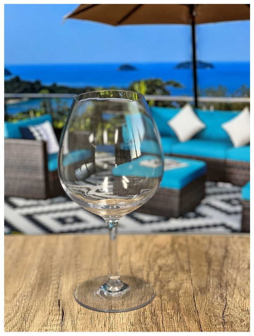 Plastic Wine Glasses Set of 4 (23oz) - Unbreakable & BPA Free