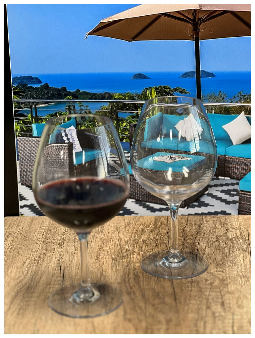 Plastic Wine Glasses Set of 4 (23oz) - Unbreakable & BPA Free
