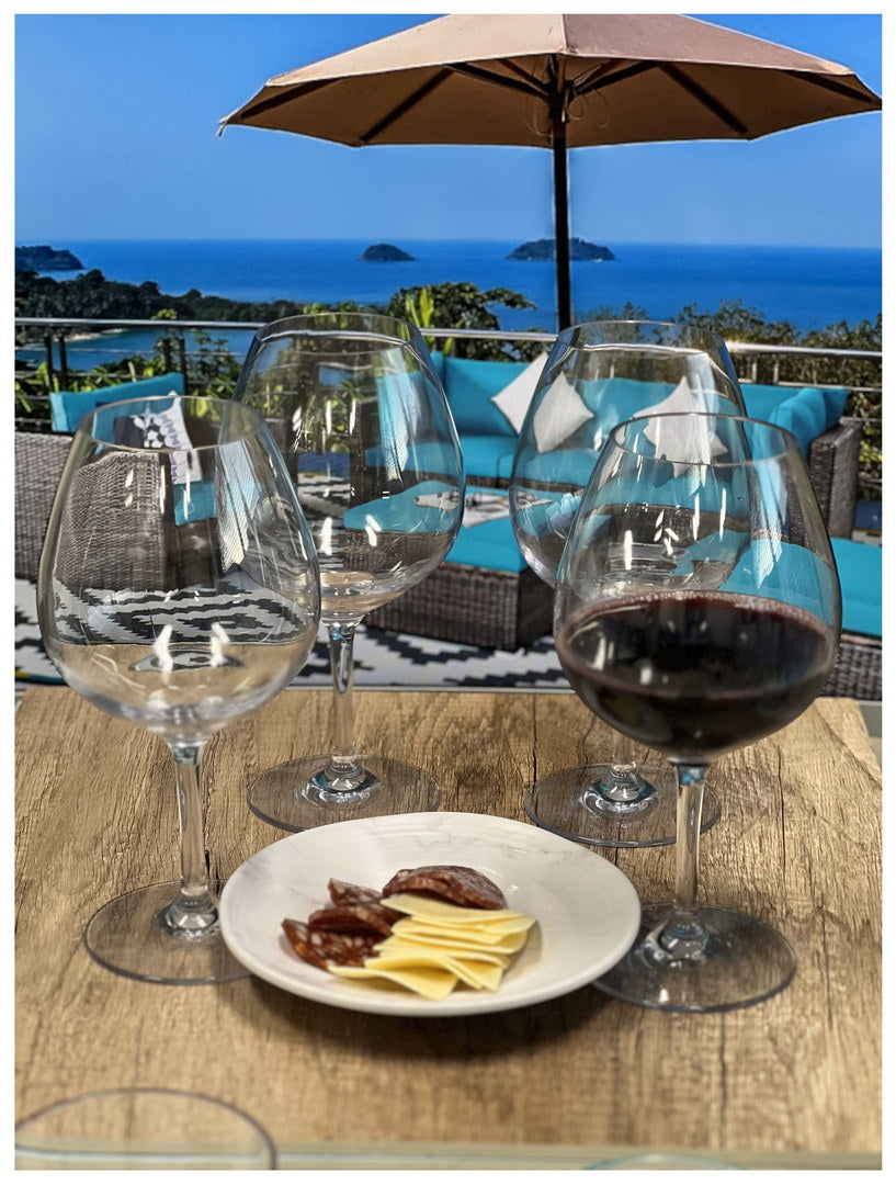 Plastic Wine Glasses Set of 4 (23oz) - Unbreakable & BPA Free