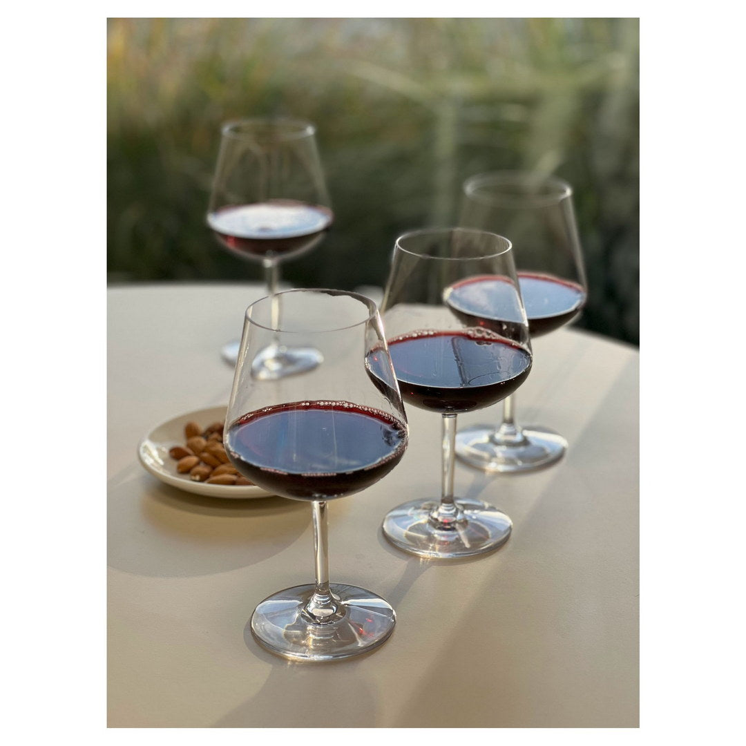Unbreakable Plastic Wine Glasses Set of 4 (20oz)