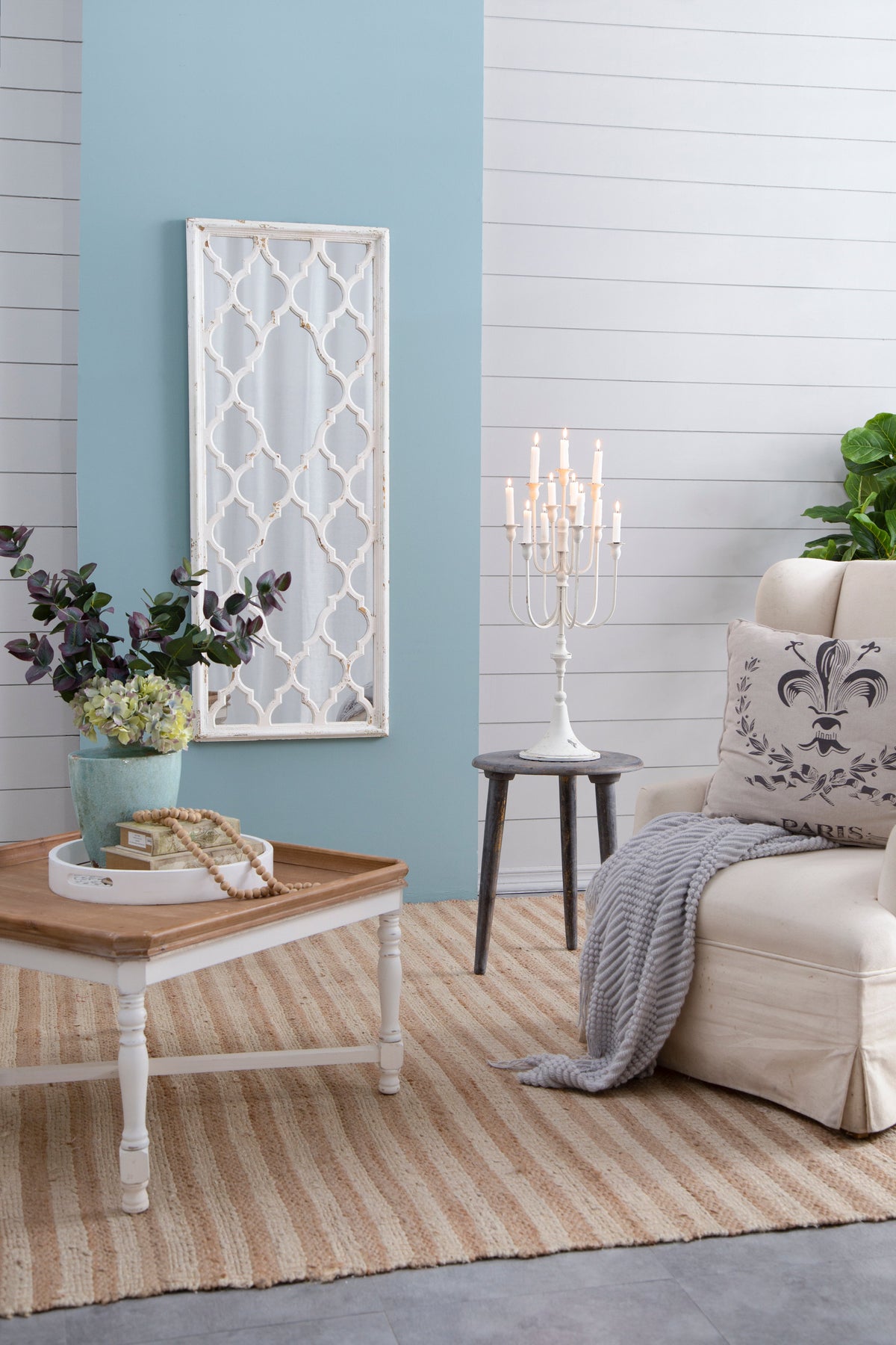 24" x 60" Distressed Full Length Mirror