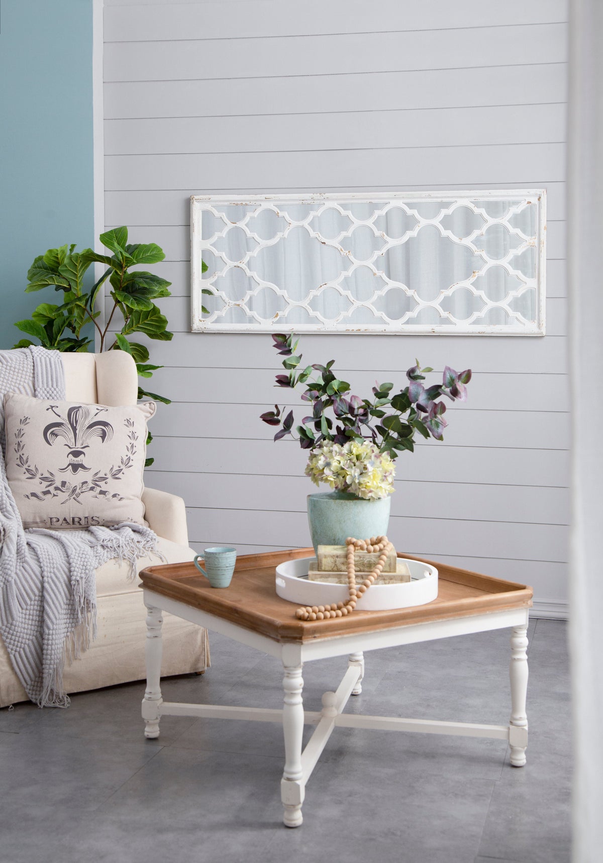 24" x 60" Distressed Full Length Mirror