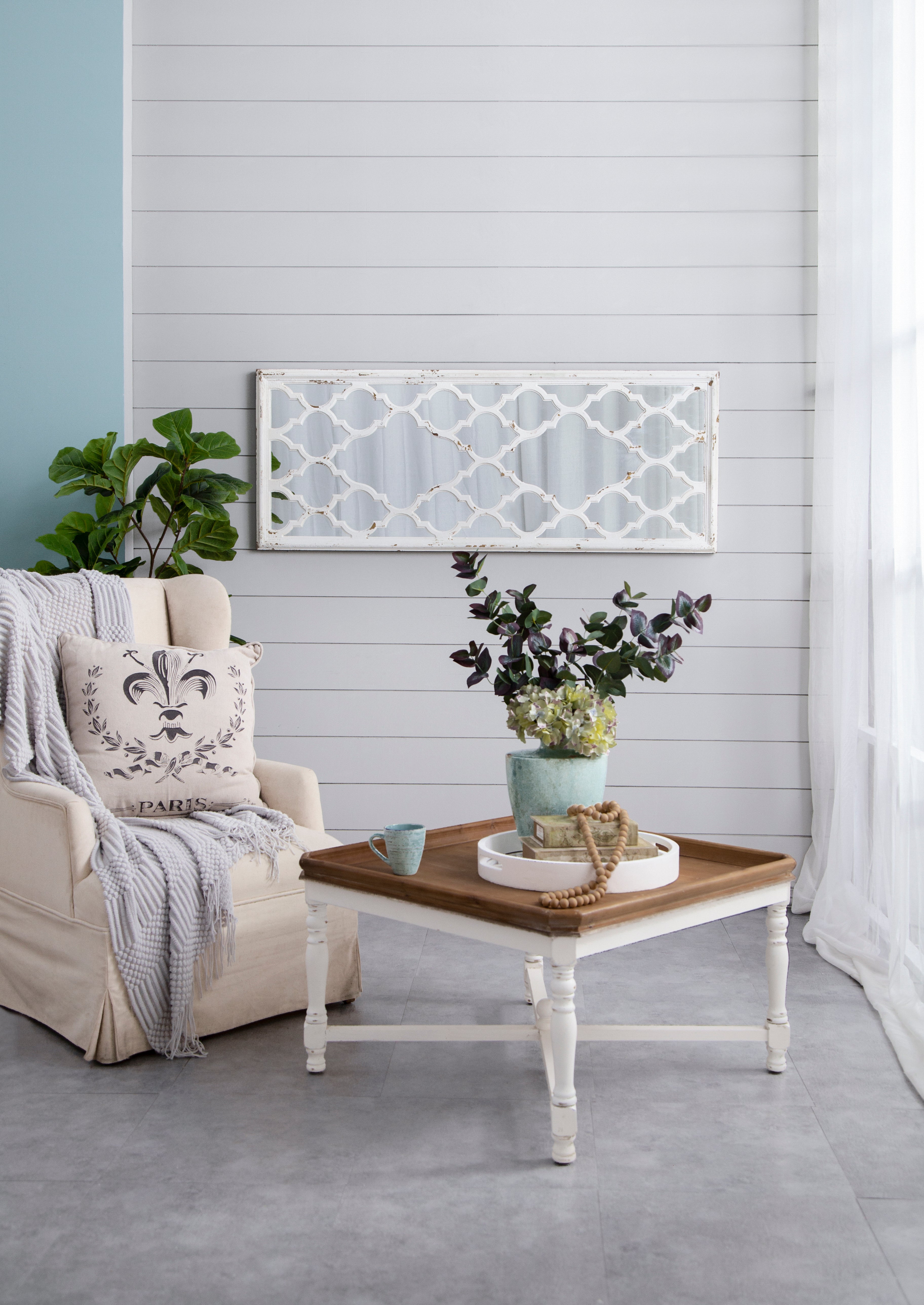 24" x 60" Distressed Full Length Mirror