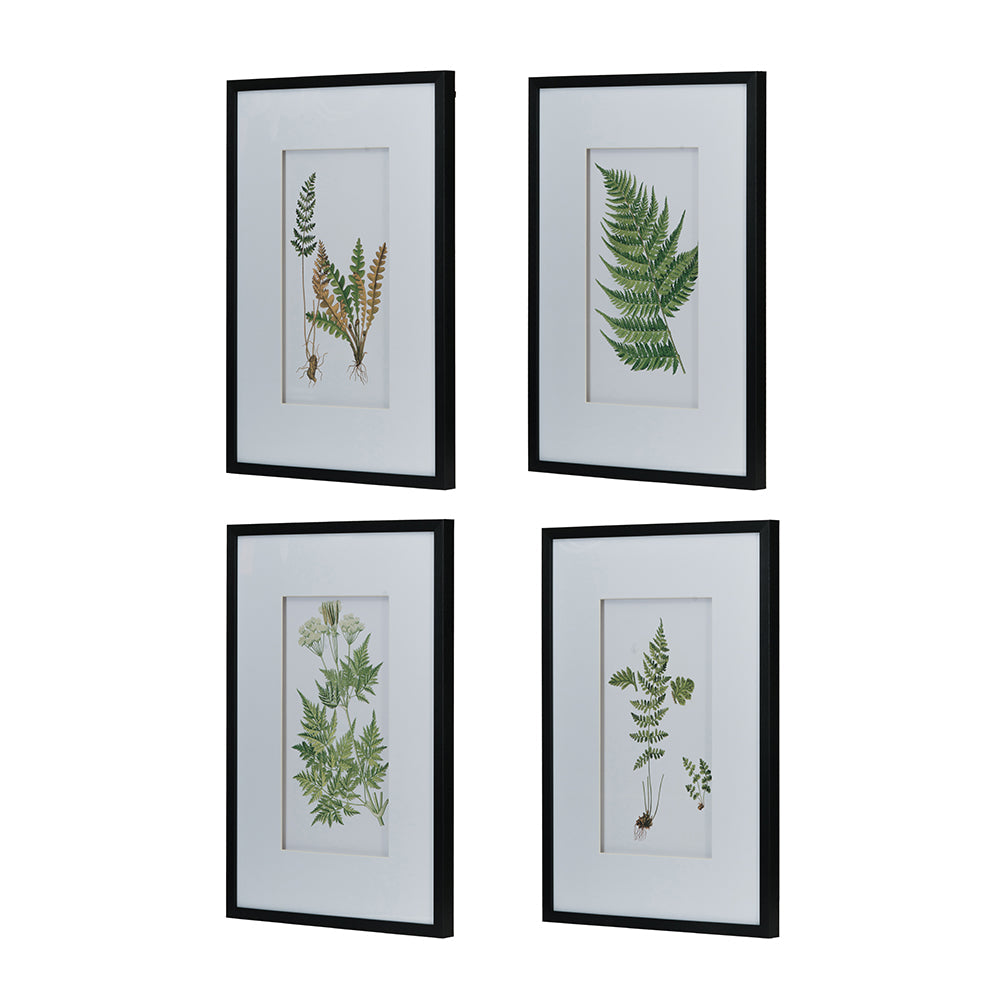 Set of 4 Botanical Wall Décor