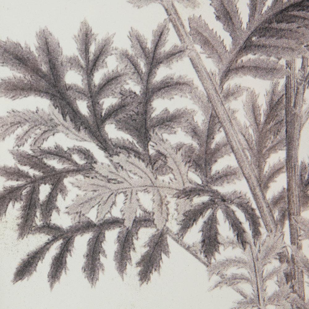 Set of 4 Botanical Wall Art Prints