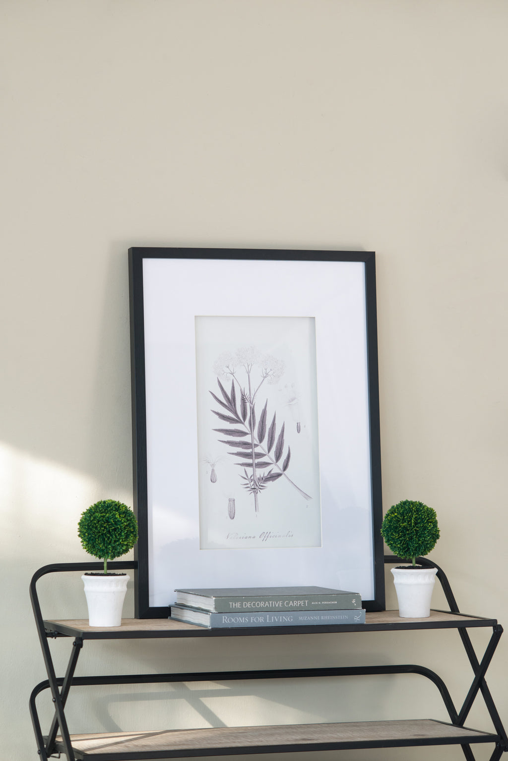 Set of 4 Botanical Wall Art Prints