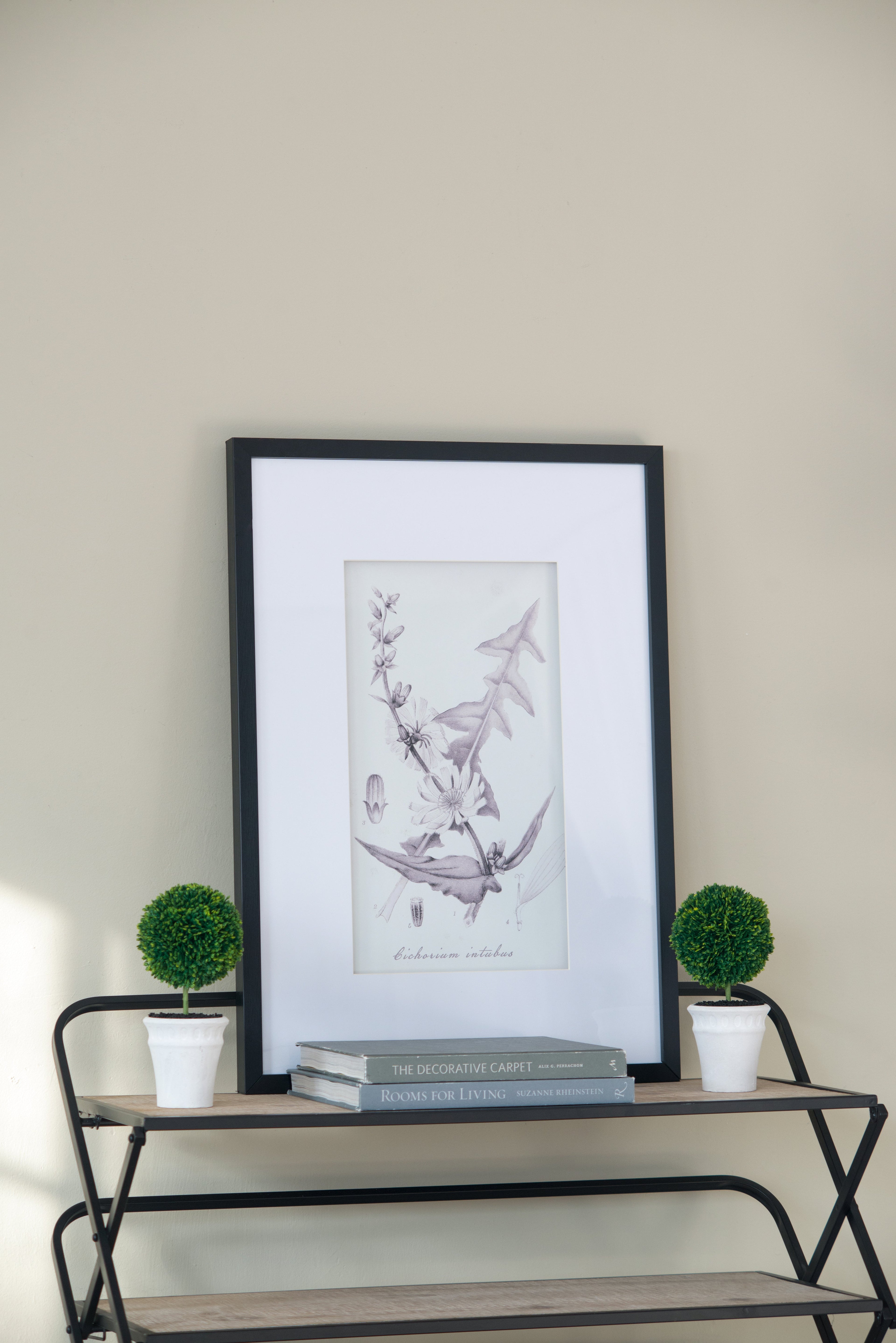 Set of 4 Botanical Wall Art Prints