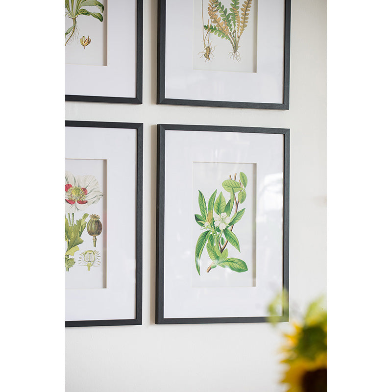 Set of 4 Botanical Flower Wall Art