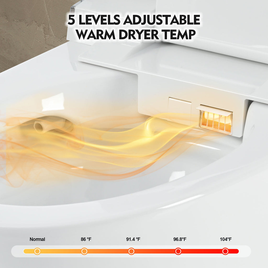 Luxury Smart Toilet with Dryer and Heated Seat