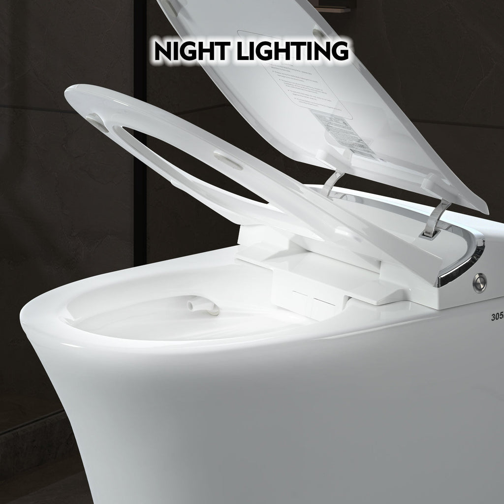 Luxury Smart Toilet with Dryer and Heated Seat